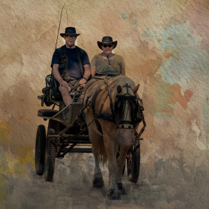 Paard en Wagen Drunense Duinen 2025