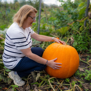 Ann Pompoen september 2025