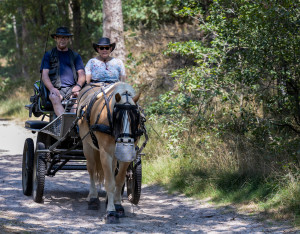 Drunense Duinen 2025
