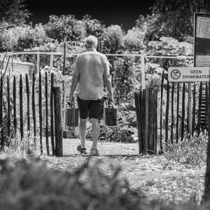 Volkstuin Vossenberg Kaatsheuvel Juli 2026