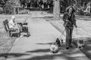 Kaatsheuvel park bij Kapel 02-2025